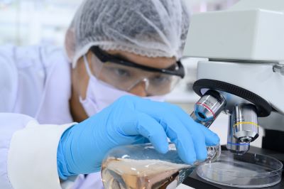 Formulation Operator Formulation Services
